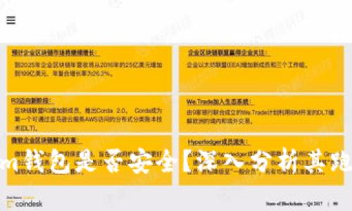 Tokenim钱包是否安全？深入分析其跑路风险