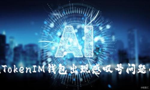 解决TokenTokenIM钱包出现感叹号问题的详细指南