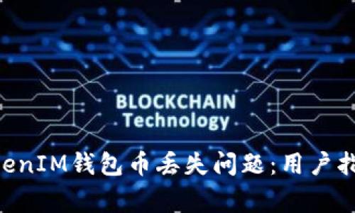 如何解决TokenTokenIM钱包币丢失问题：用户指南与常见问题解答