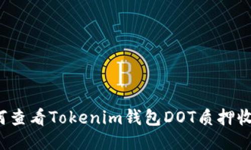 如何查看Tokenim钱包DOT质押收益？
