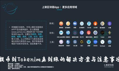 提币到Tokenim未到账的解决方案与注意事项