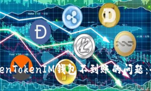 解决TokenTokenIM钱包不到账的问题：全面指南