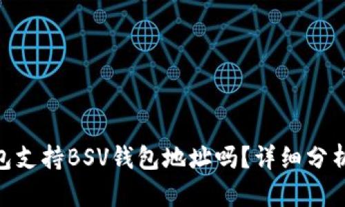 Tokenim钱包支持BSV钱包地址吗？详细分析与用户指南
