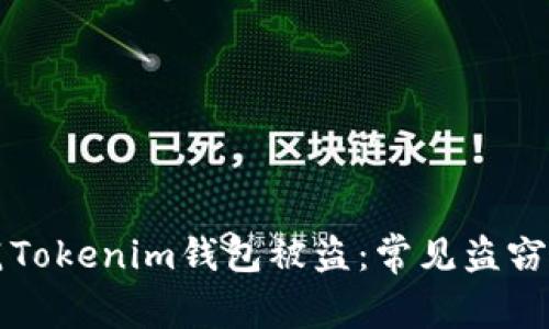 如何防范Tokenim钱包被盗：常见盗窃方式分析