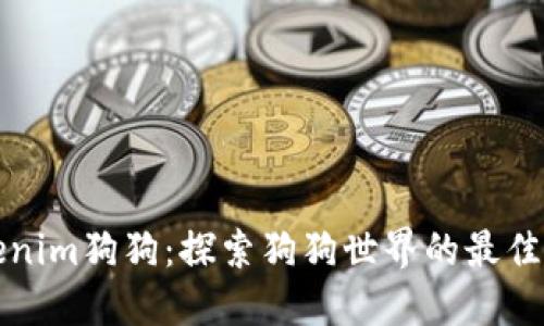 Tokenim狗狗：探索狗狗世界的最佳伴侣