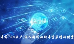 比特币前100大户：深入解析比特币富豪榜的财富
