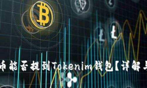 山寨币能否提到Tokenim钱包？详解与分析