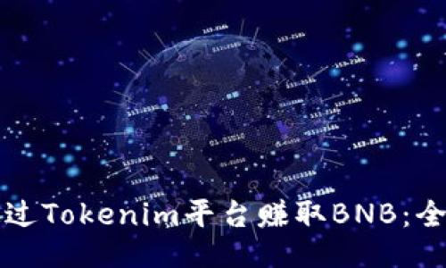 如何通过Tokenim平台赚取BNB：全面指南