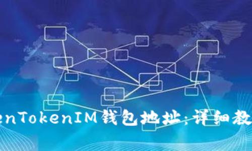 如何设置TokenTokenIM钱包地址：详细教程与注意事项
