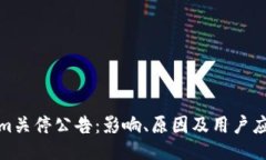 Tokenim关停公告：影响、原因及用户应对策略