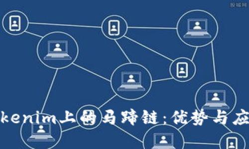 探秘Tokenim上的马蹄链：优势与应用详解