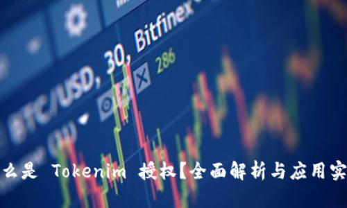 什么是 Tokenim 授权？全面解析与应用实例