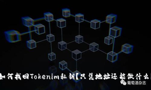 如何找回Tokenim私钥？只凭地址还能做什么？