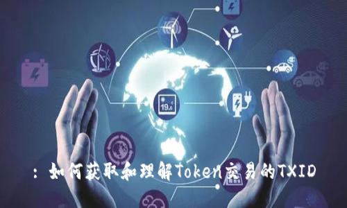 : 如何获取和理解Token交易的TXID