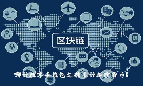 哪种数字币钱包支持多种加密货币？