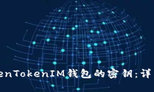 如何找回TokenTokenIM钱包的密钥：详细步骤与建议