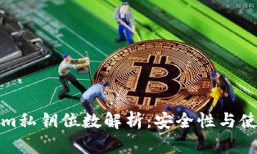Tokenim私钥位数解析：安全性与使用指南