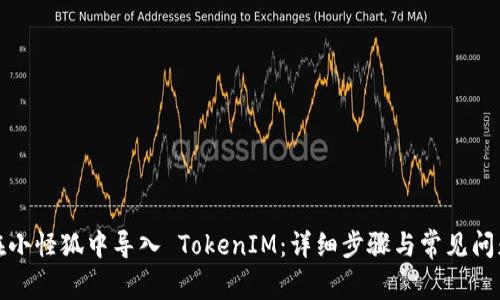 如何在小怪狐中导入 TokenIM：详细步骤与常见问题解答